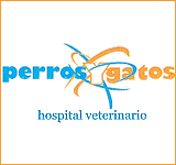 Tuxpan - Hospital Veterinario Perros y Gatos<br>MVZ Moisés Carballo Alarcón