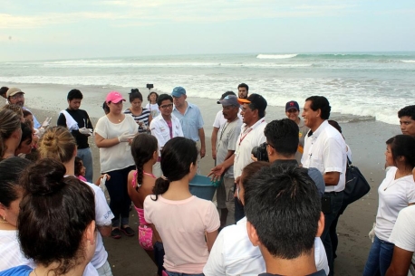 LIBERACIÓN DE TORTUGAS TUXPAN, VERACRUZ