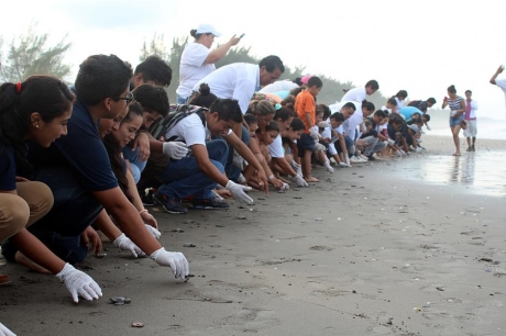 LIBERACIÓN DE TORTUGAS TUXPAN, VERACRUZ